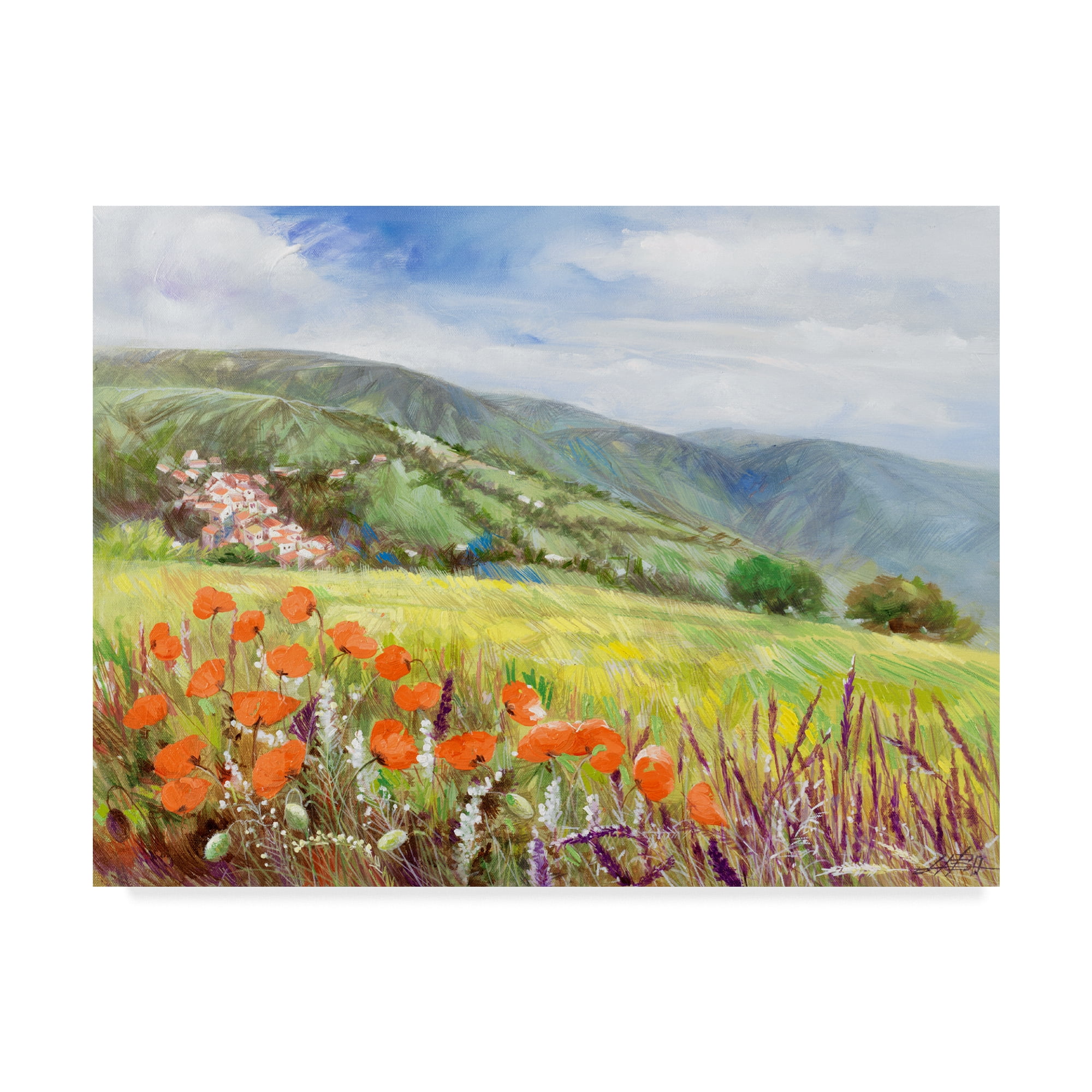 Trademark Fine Art 'Blooming Poppy 1' Canvas Art by Li Bo