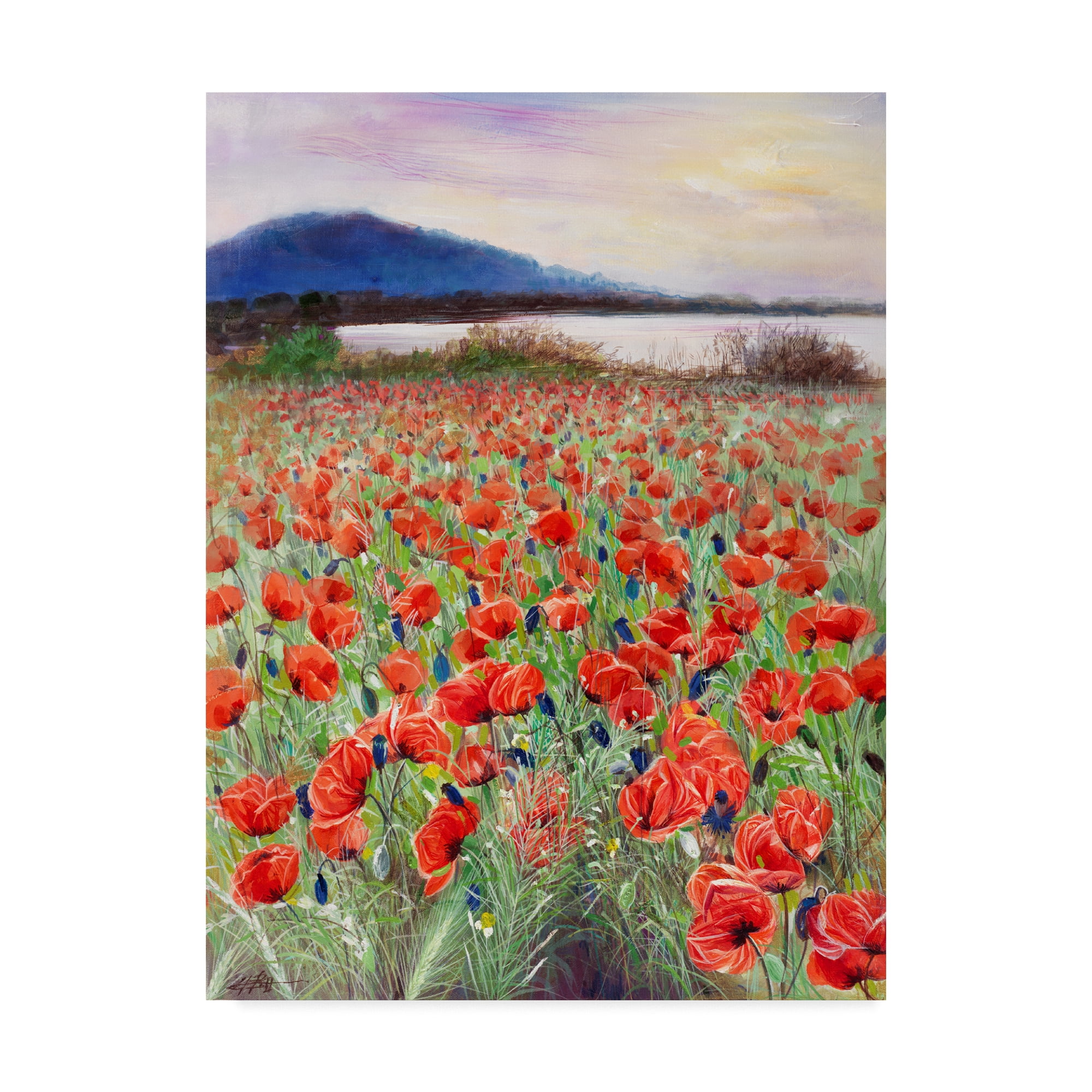 Trademark Fine Art 'Blooming Poppy 2' Canvas Art by Li Bo