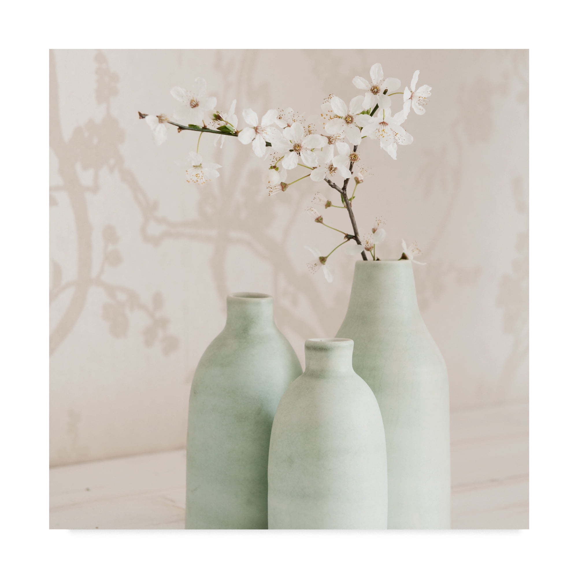 Trademark Fine Art 'Blossom With 3 Vases' Canvas Art by Tom Quartermaine