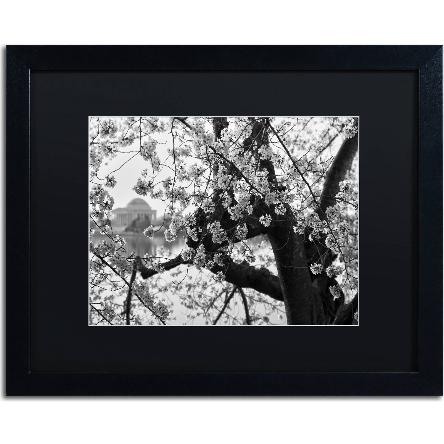Trademark Fine Art "Blossoms BW" Canvas Art by CATeyes, Black Matte, Black Frame