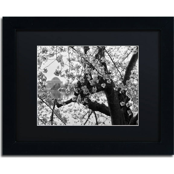 Trademark Fine Art "Blossoms BW" Canvas Art by CATeyes, Black Matte, Black Frame