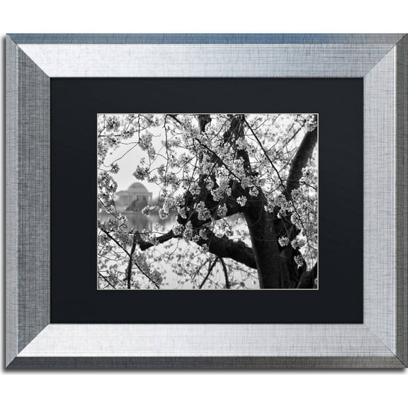 Trademark Fine Art "Blossoms BW" Canvas Art by CATeyes, Black Matte, Silver Frame