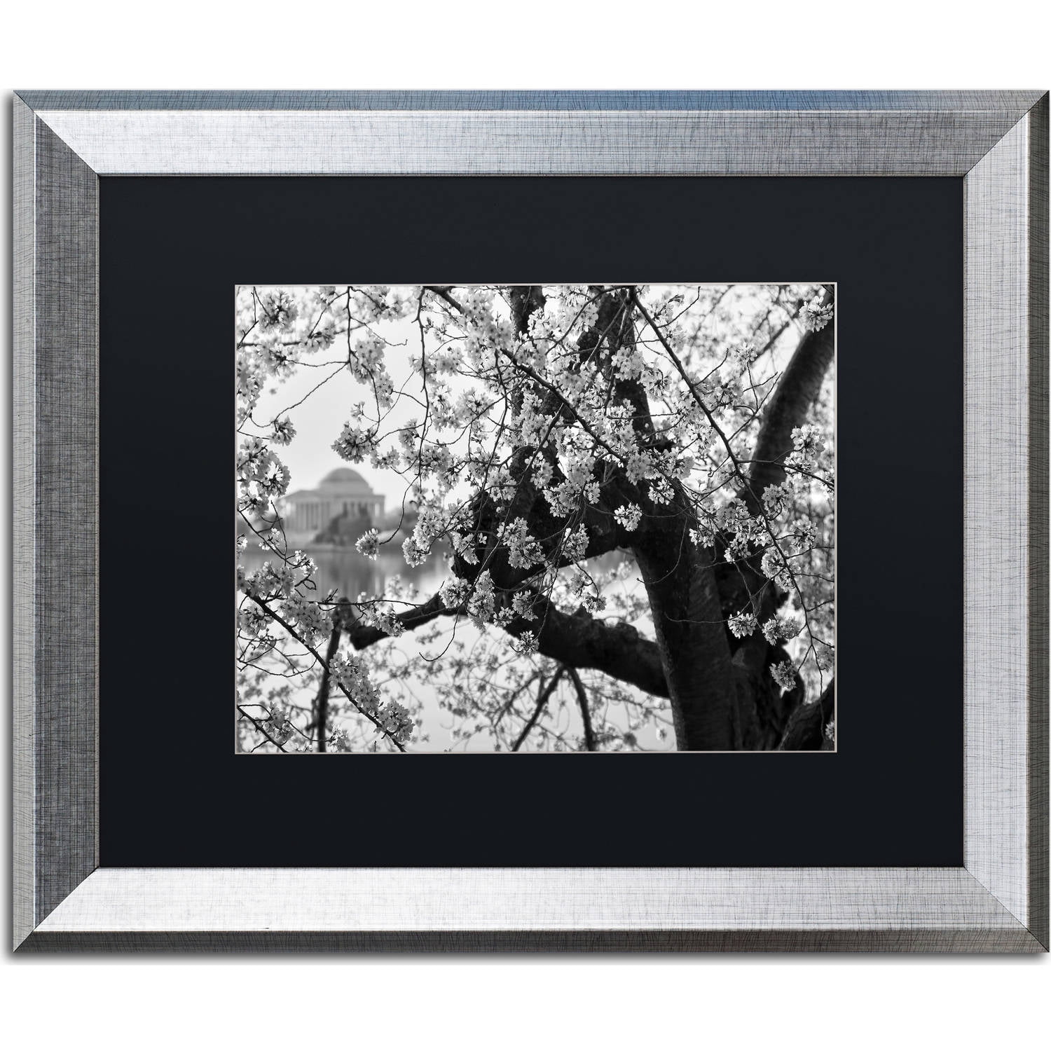 Trademark Fine Art "Blossoms BW" Canvas Art by CATeyes, Black Matte, Silver Frame