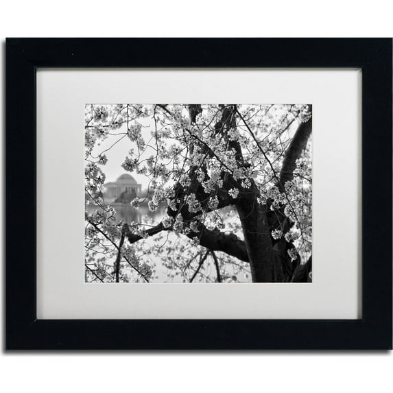 Trademark Fine Art "Blossoms BW" Canvas Art by CATeyes, White Matte, Black Frame