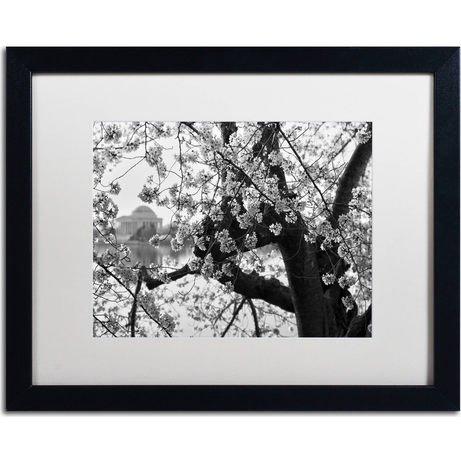 Trademark Fine Art "Blossoms BW" Canvas Art by CATeyes, White Matte, Black Frame