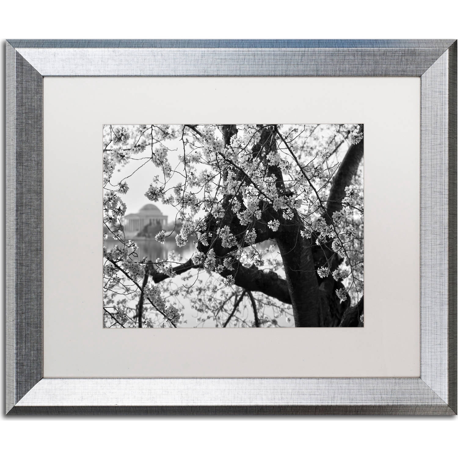 Trademark Fine Art "Blossoms BW" Canvas Art by CATeyes, White Matte, Silver Frame