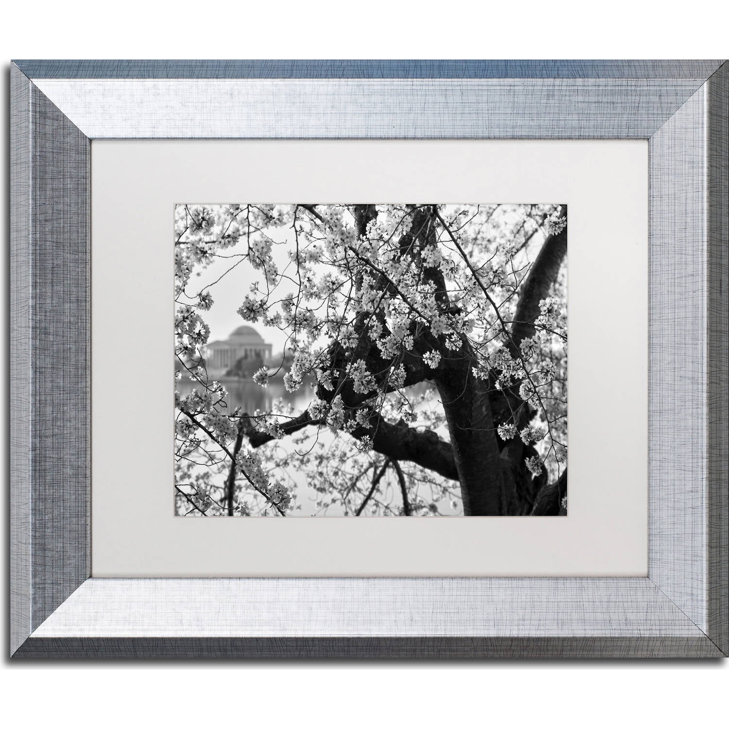Trademark Fine Art "Blossoms BW" Canvas Art by CATeyes, White Matte, Silver Frame