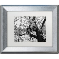 Trademark Fine Art "Blossoms BW" Canvas Art by CATeyes, White Matte, Silver Frame