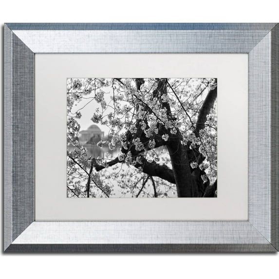 Trademark Fine Art "Blossoms BW" Canvas Art by CATeyes, White Matte, Silver Frame