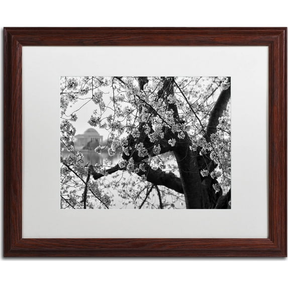 Trademark Fine Art "Blossoms BW" Canvas Art by CATeyes, White Matte, Wood Frame