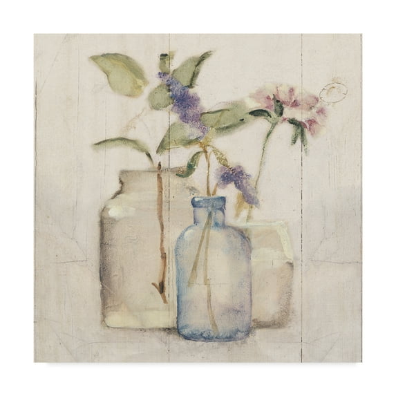 Trademark Fine Art 'Blossoms on Birch I' Canvas Art by Cheri Blum