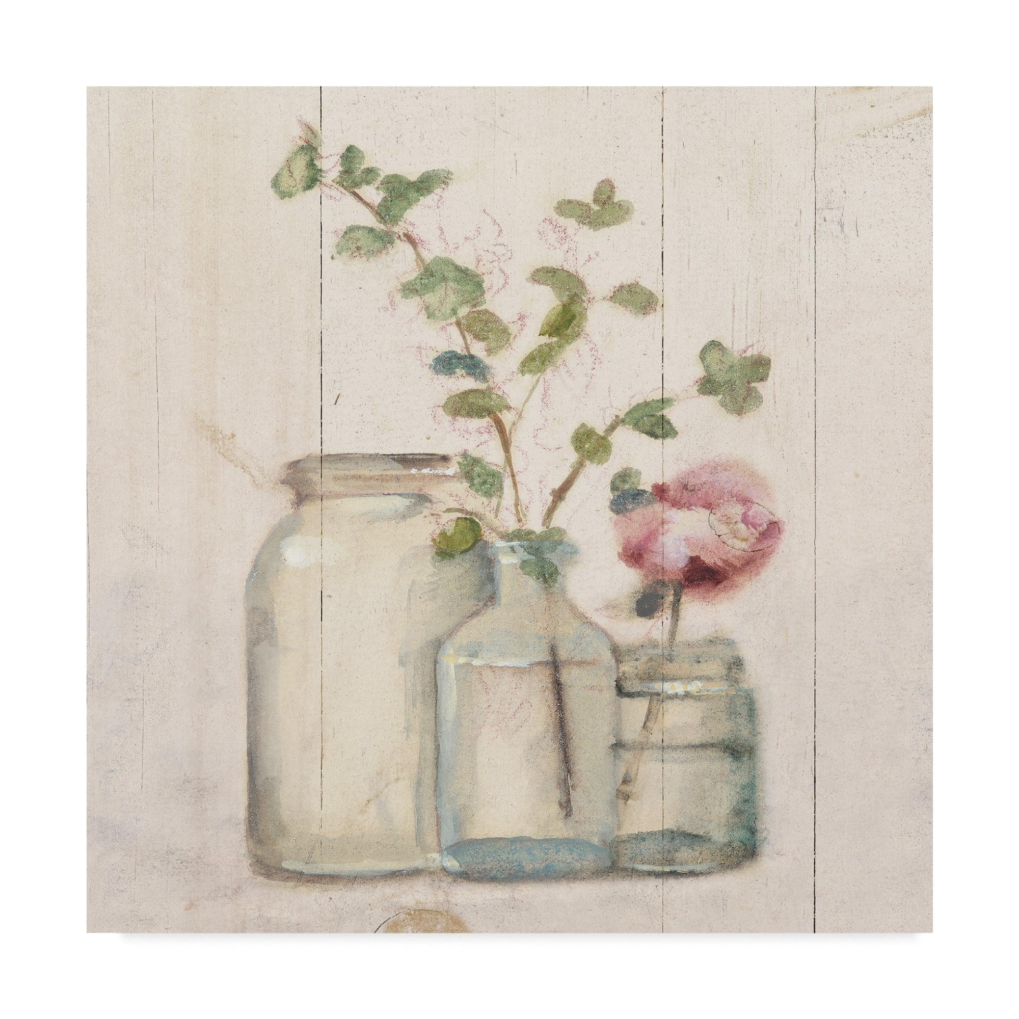 Trademark Fine Art 'Blossoms on Birch IV' Canvas Art by Cheri Blum