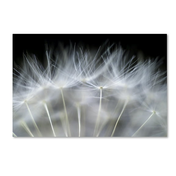 Trademark Fine Art 'Blow It' Canvas Art by Peter Fallberg