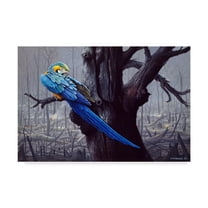 Trademark Fine Art 'Blue And Yellow Macaw In Burned Forest' Canvas Art by Harro Maass