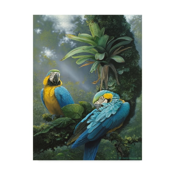 Trademark Fine Art 'Blue And Yellow Macaws' Canvas Art by Harro Maass