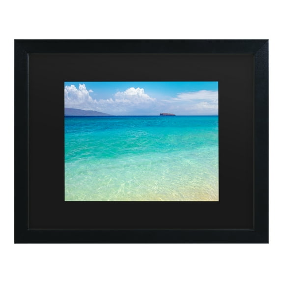 Trademark Fine Art 'Blue Beach Maui' Canvas Art by Pierre Leclerc