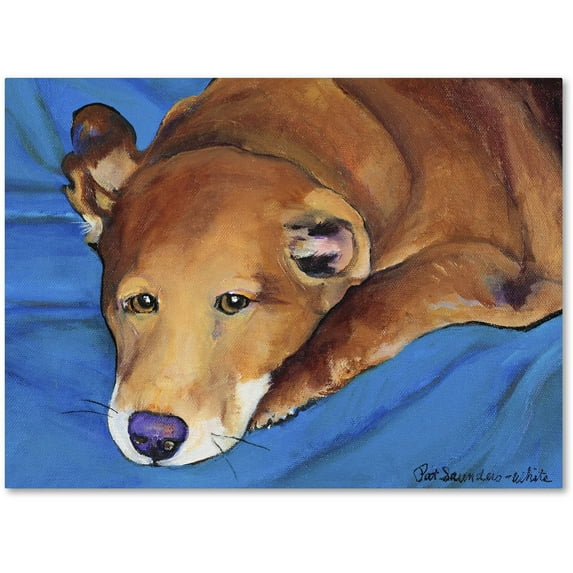 Trademark Fine Art "Blue Blanket" Canvas Art by Pat Saunders-White