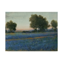 Trademark Fine Art 'Blue Bonnet Field II' Canvas Art by Tim OToole