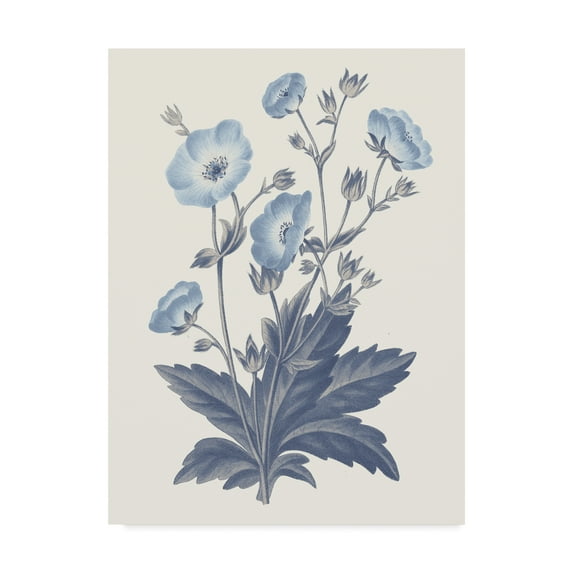 Trademark Fine Art 'Blue Botanical VI' Canvas Art by Wild Apple Portfolio