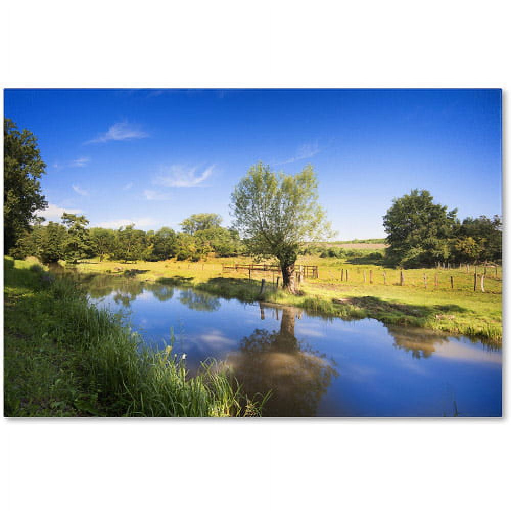 Trademark Fine Art "Blue Brook" Canvas Art by Philippe Sainte-Laudy