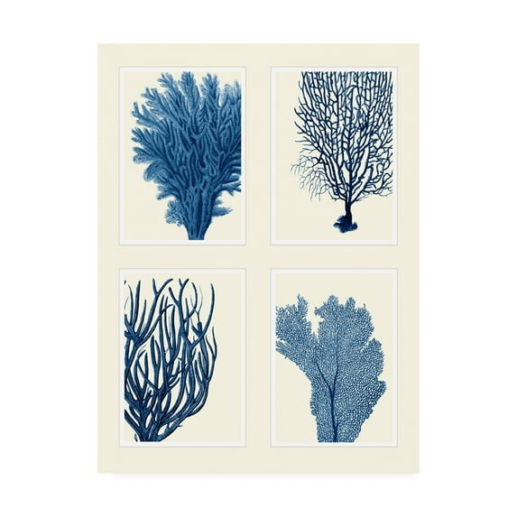 Trademark Fine Art 'Blue Coral Print On 4 Panels' Canvas Art by Fab Funky