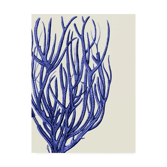 Trademark Fine Art 'Blue Corals 2 c' Canvas Art by Fab Funky