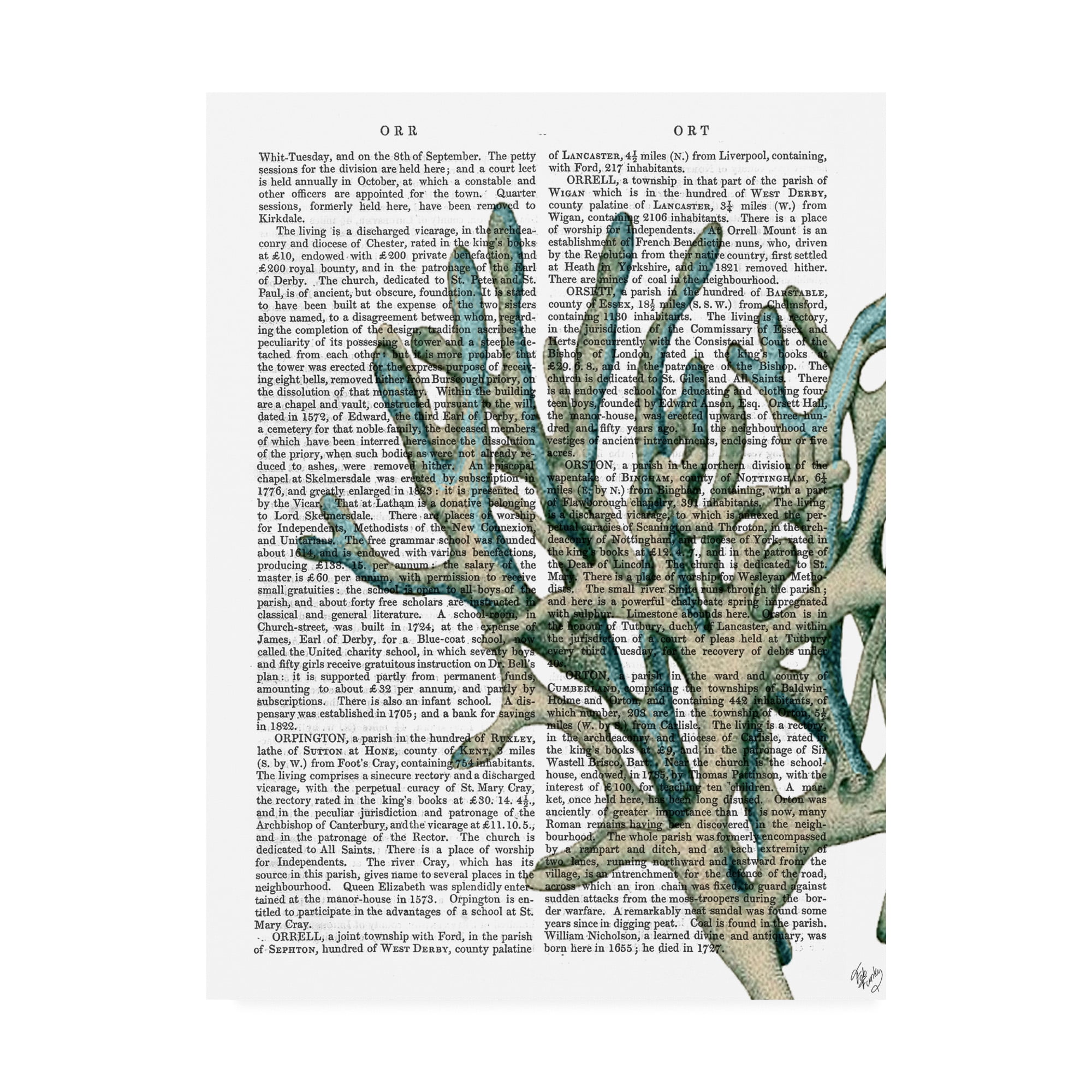 Trademark Fine Art 'Blue Corals And Sea Urchins Iii' Canvas Art by Fab Funky