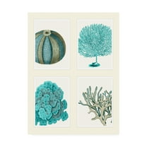 Trademark Fine Art 'Blue Corals And Sea Urchins In 4 Panels' Canvas Art by Fab Funky