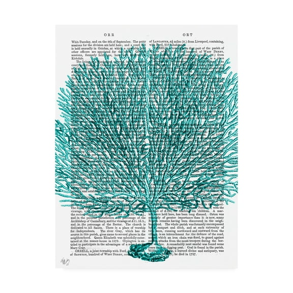 Trademark Fine Art 'Blue Corals And Sea Urchins Iv' Canvas Art by Fab Funky