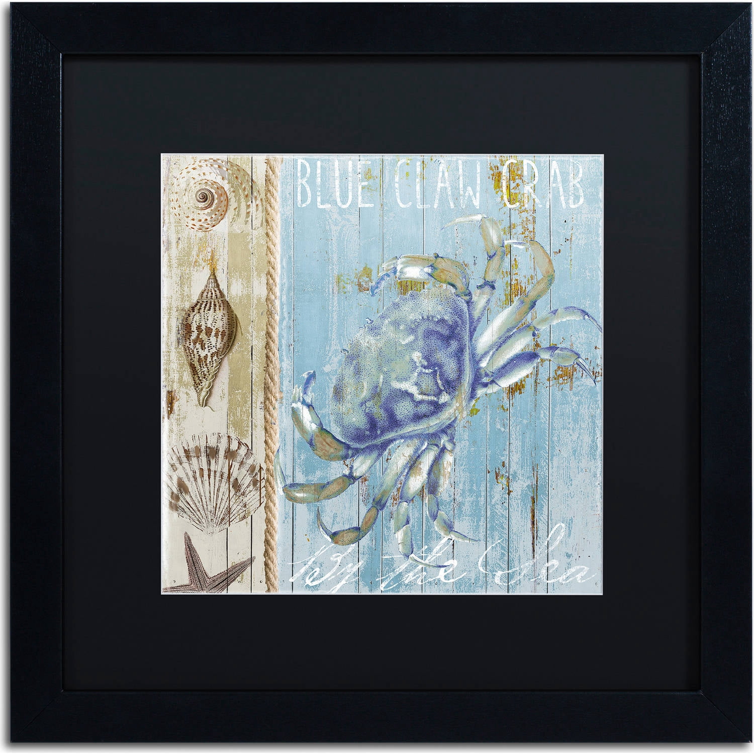 Trademark Fine Art "Blue Crab I" Canvas Art by Color Bakery, Black Matte, Black Frame