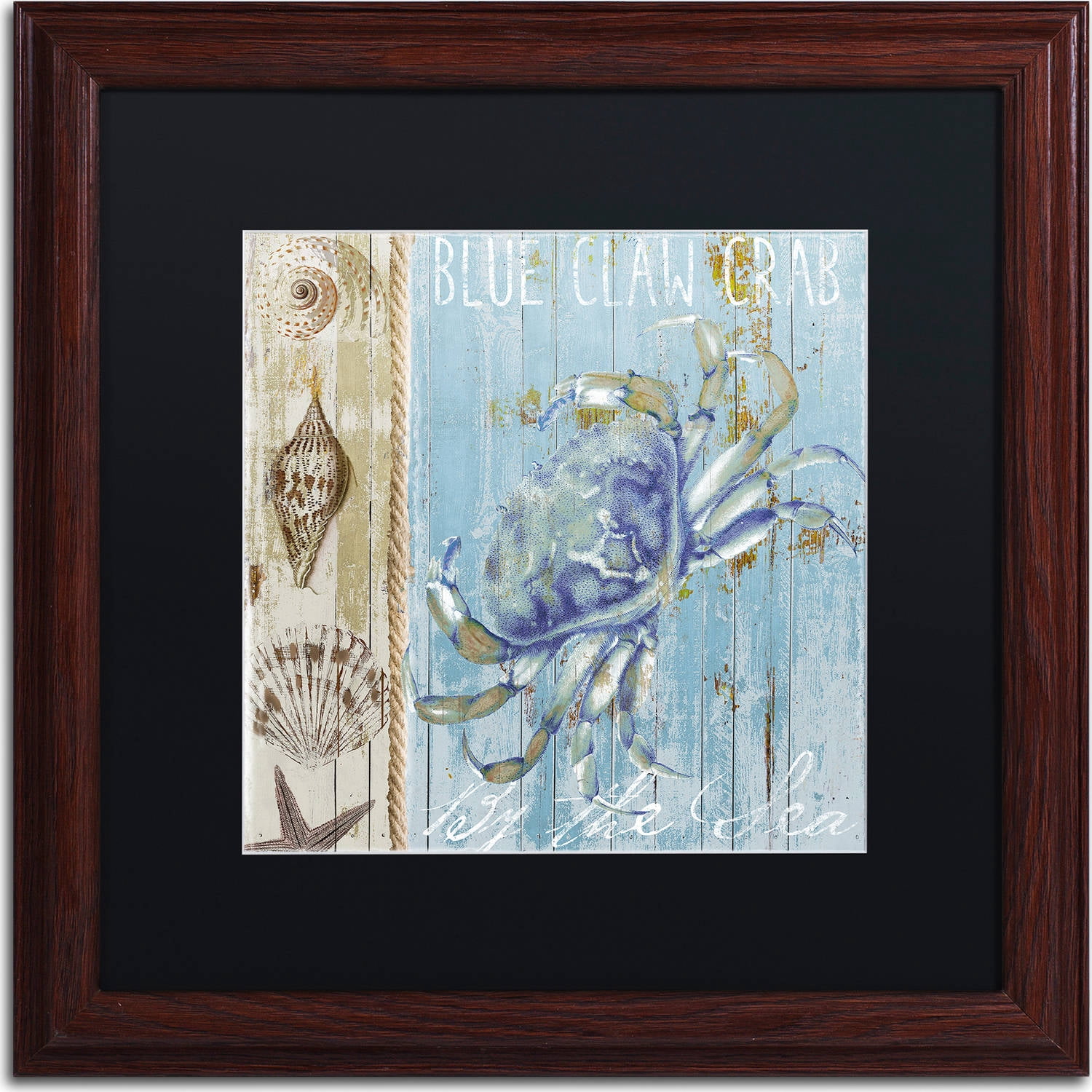 Trademark Fine Art "Blue Crab I" Canvas Art by Color Bakery, Black Matte, Wood Frame