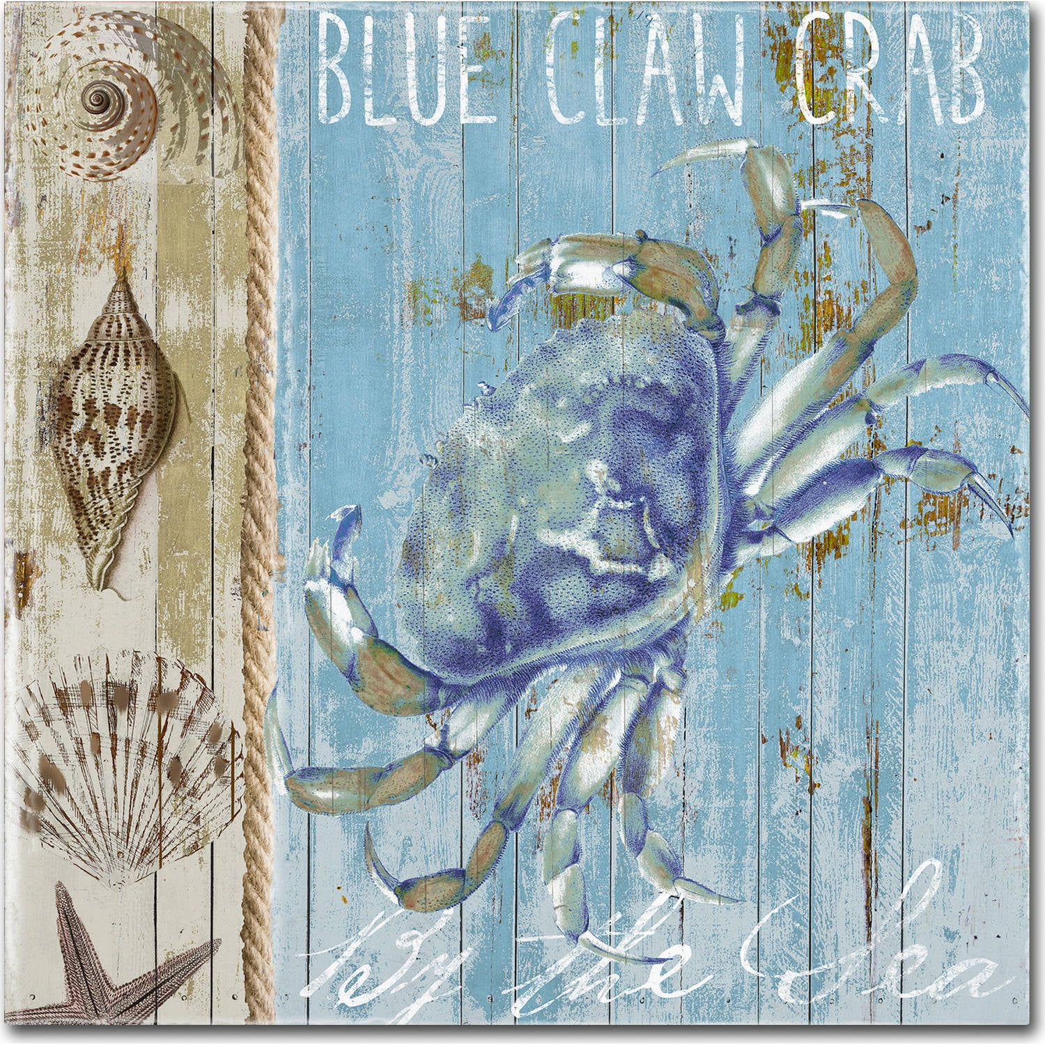 Blue Crab and Shells Coastal Canvas Art 14x14