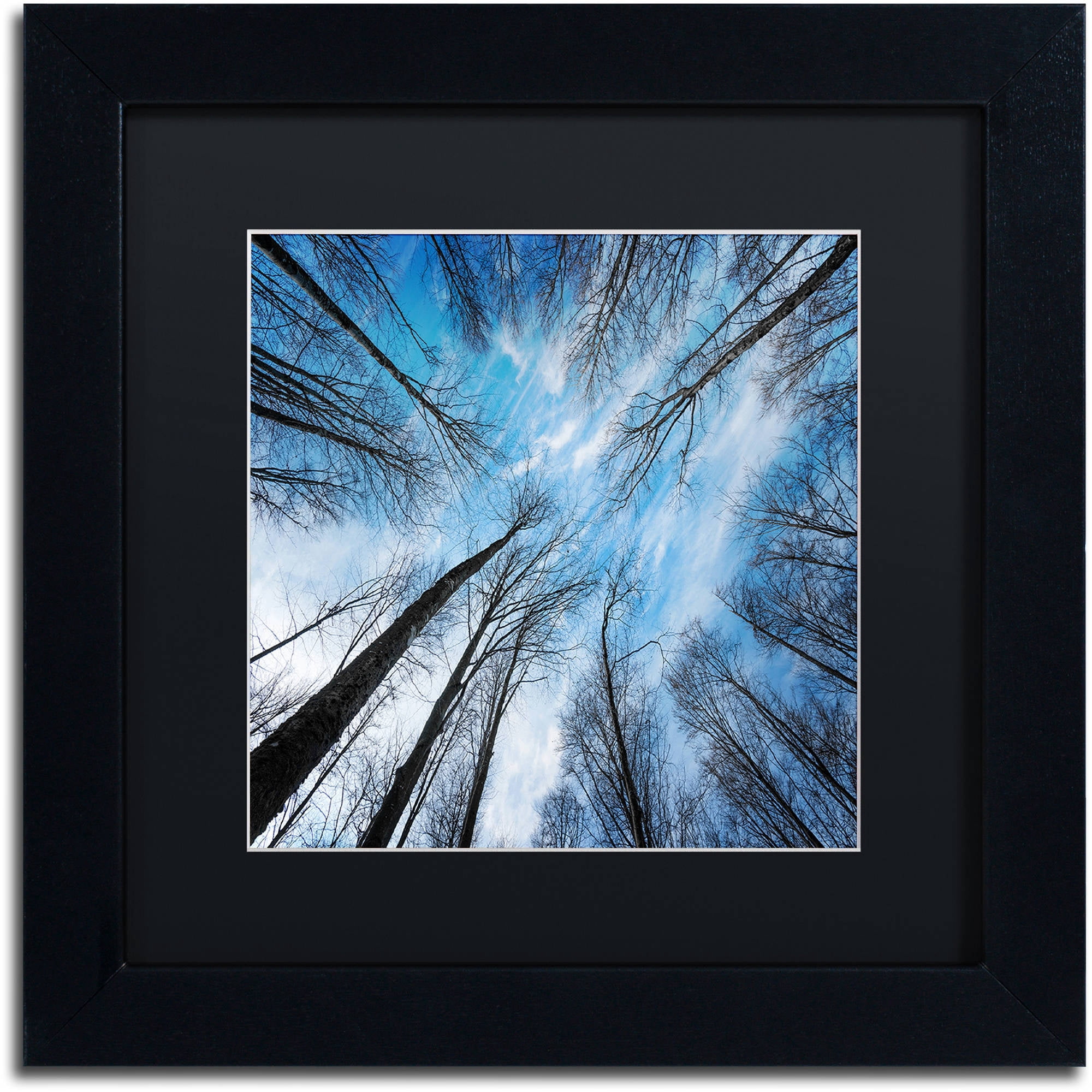 Trademark Fine Art "Blue Crunch" Canvas Art by Philippe Sainte-Laudy Black Matte, Black Frame