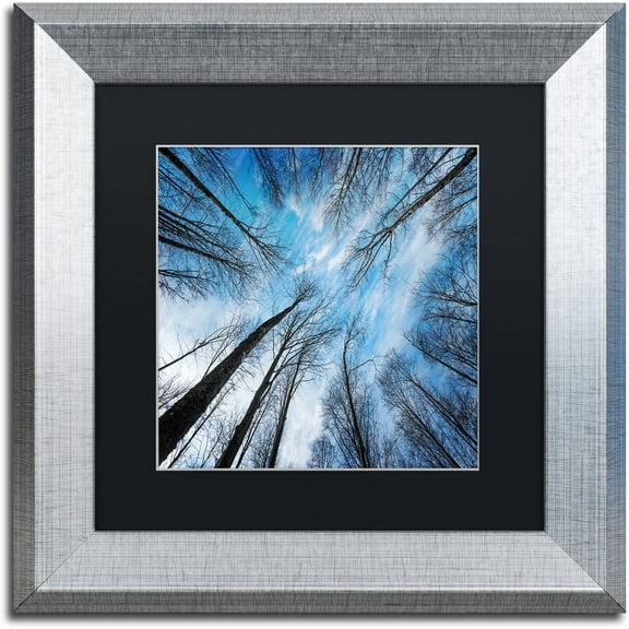 Trademark Fine Art "Blue Crunch" Canvas Art by Philippe Sainte-Laudy Black Matte, Silver Frame