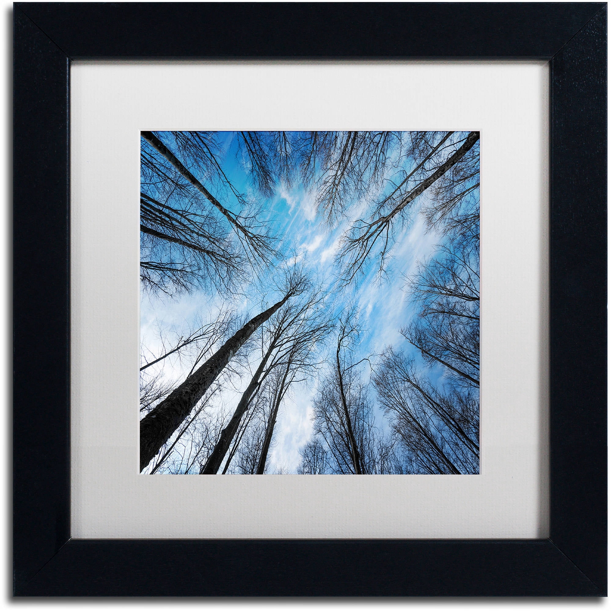 Trademark Fine Art "Blue Crunch" Canvas Art by Philippe Sainte-Laudy White Matte, Black Frame