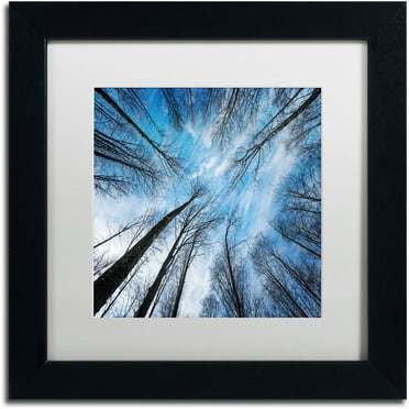 Trademark Fine Art "Blue Crunch" Canvas Art by Philippe Sainte-Laudy White Matte, Black Frame