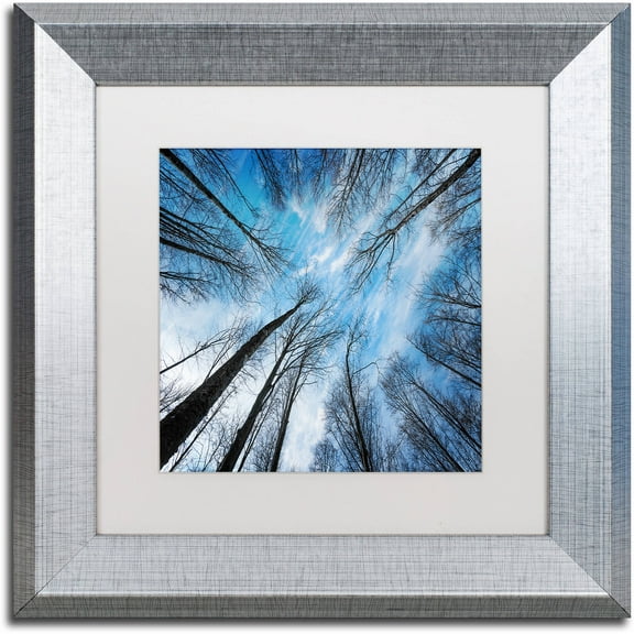 Trademark Fine Art "Blue Crunch" Canvas Art by Philippe Sainte-Laudy White Matte, Silver Frame