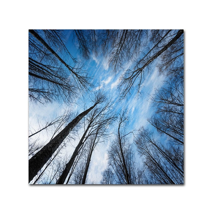 Philippe Sainte-Laudy 'Blue Crunch' Canvas Wall Art 14 x 14