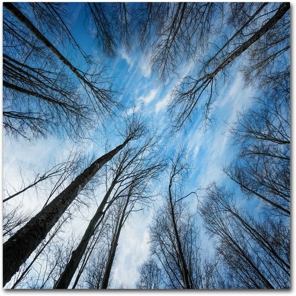 Trademark Fine Art "Blue Crunch" Canvas Art by Philippe Sainte-Laudy