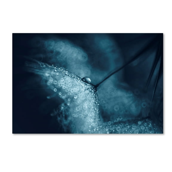 Trademark Fine Art 'Blue Dandelions' Canvas Art by Ivelina Blagoeva