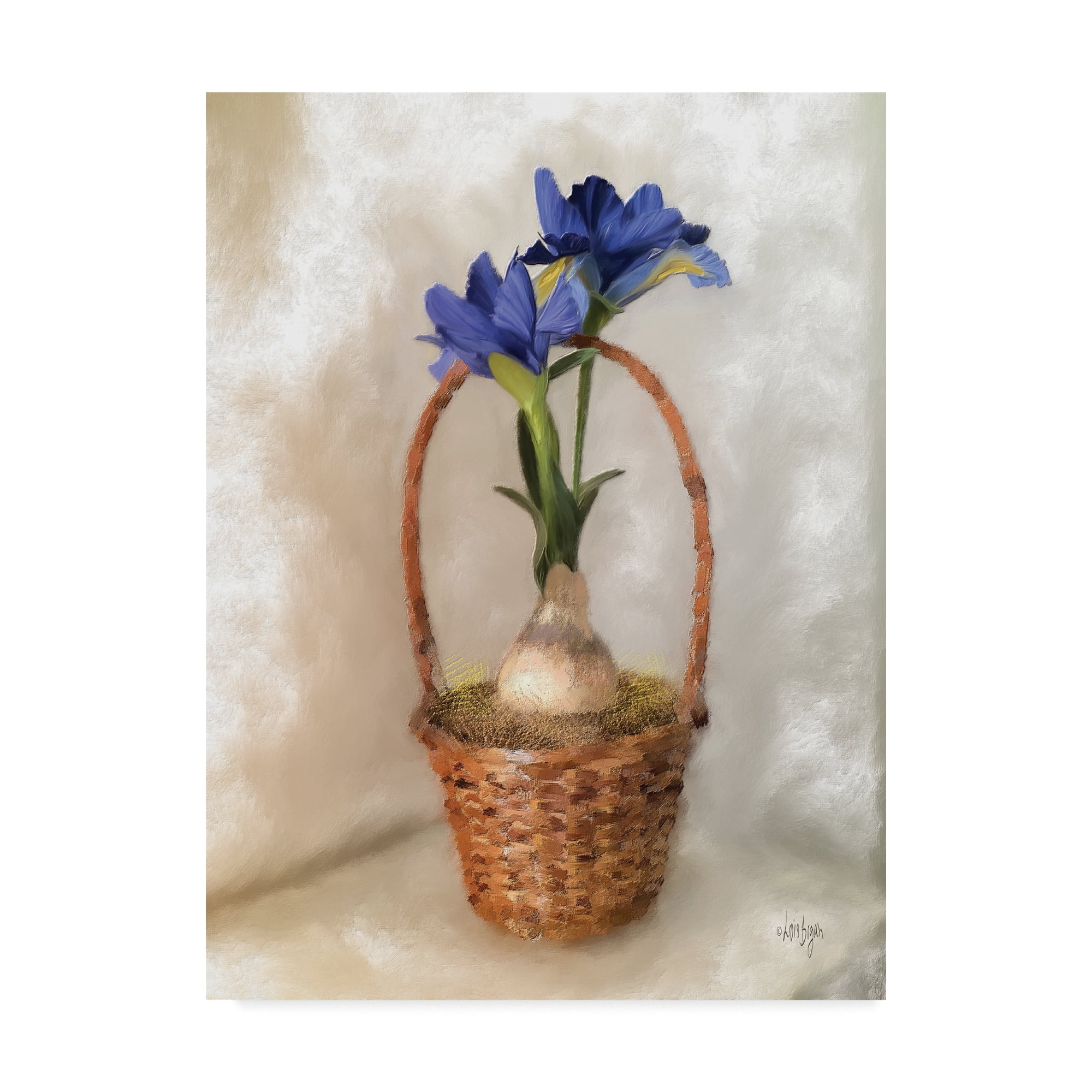 Trademark Fine Art 'Blue Dutch Iris' Canvas Art by Lois Bryan