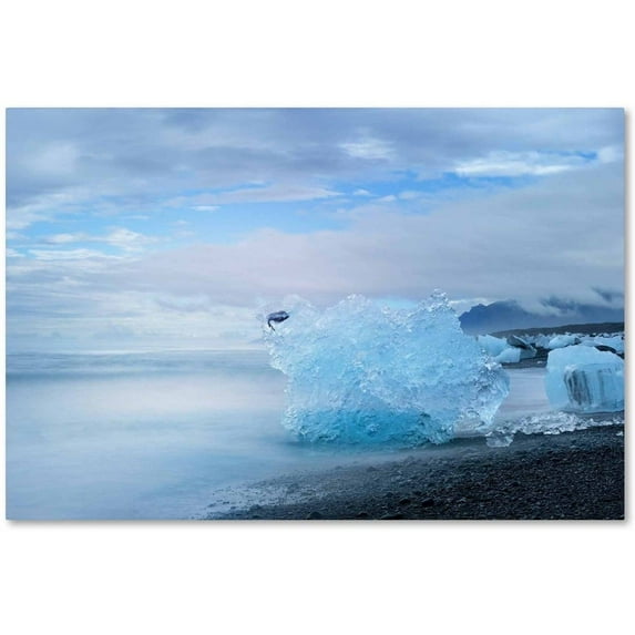Trademark Fine Art 'Blue Exception' Canvas Art by Philippe Sainte-Laudy