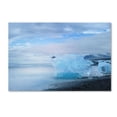 thumbnail image 1 of Trademark Fine Art 'Blue Exception' Canvas Art by Philippe Sainte-Laudy, 1 of 1