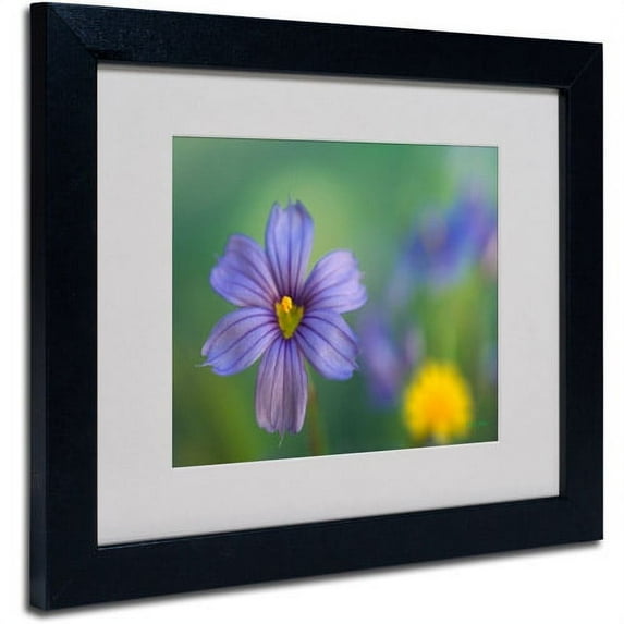 Trademark Fine Art 'Blue Eyed Grass' Matted Framed Art by Kathy Yates
