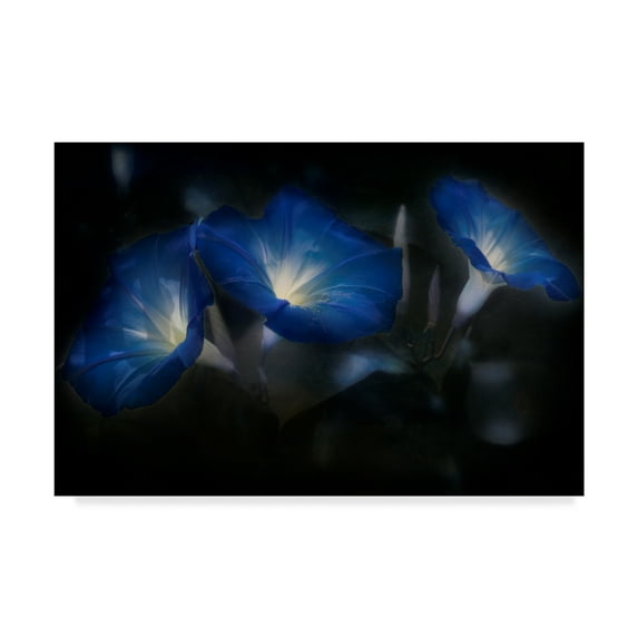 Trademark Fine Art 'Blue Eyes Blue' Canvas Art by Barbara Simmons