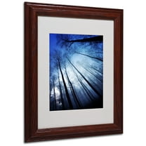Trademark Fine Art "Blue Forest" Canvas Art by Philippe Sainte-Laudy, Wood Frame