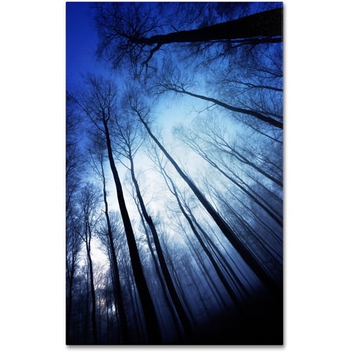 Blue Forest Landscape Canvas Art by Philippe Sainte-Laudy