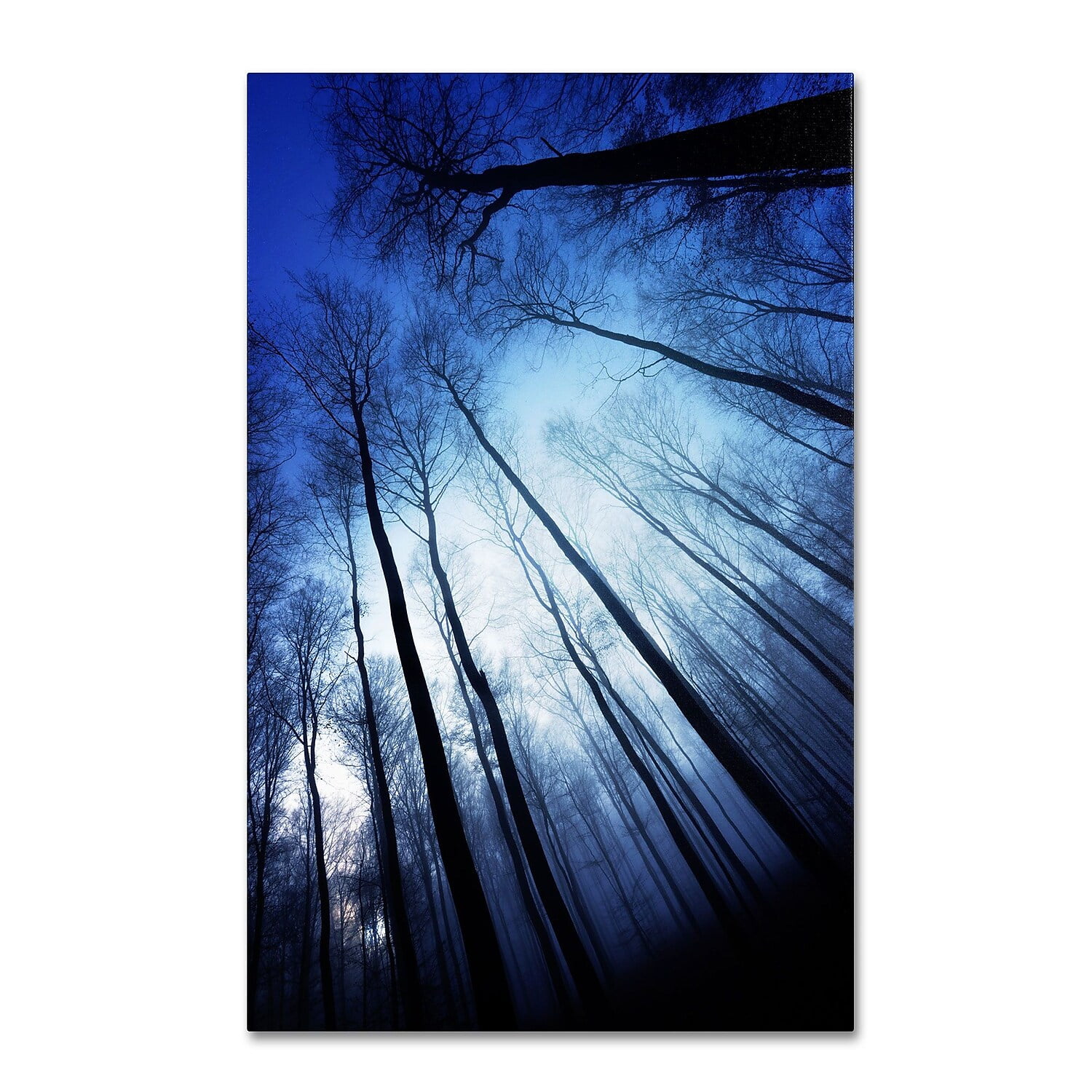 Blue Forest Landscape Canvas Art by Philippe Sainte-Laudy