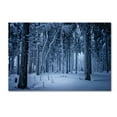thumbnail image 1 of Trademark Fine Art 'Blue Frost' Canvas Art by Philippe Sainte-Laudy, 1 of 3
