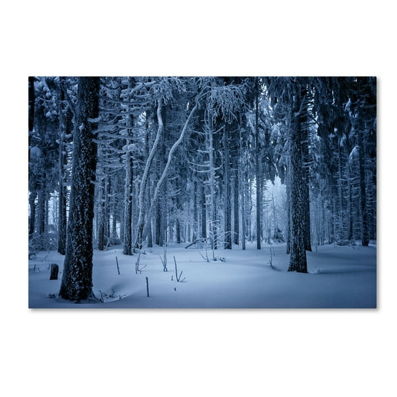 Trademark Fine Art 'Blue Frost' Canvas Art by Philippe Sainte-Laudy